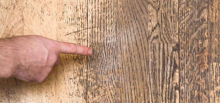 Wood Door Scratch Repair in Old Fig Garden